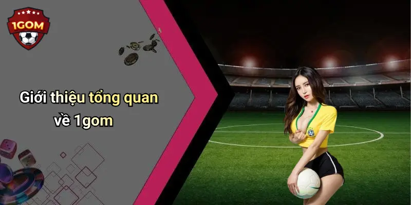 Giới thiệu tổng quan về 1gom