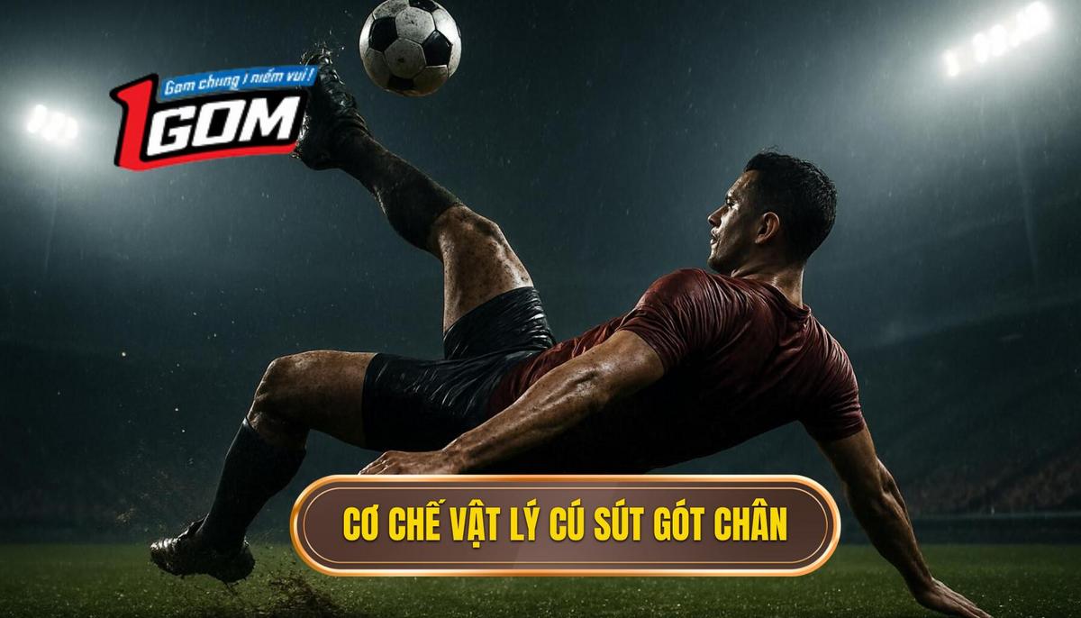 Cơ Chế Vật Lý Đằng Sau Cú Sút Gót Chân